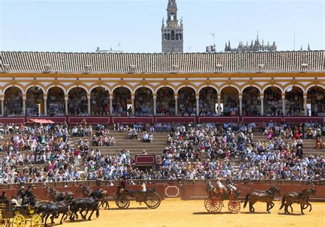 planes en sevilla hoy|Qué hacer hoy en Sevilla